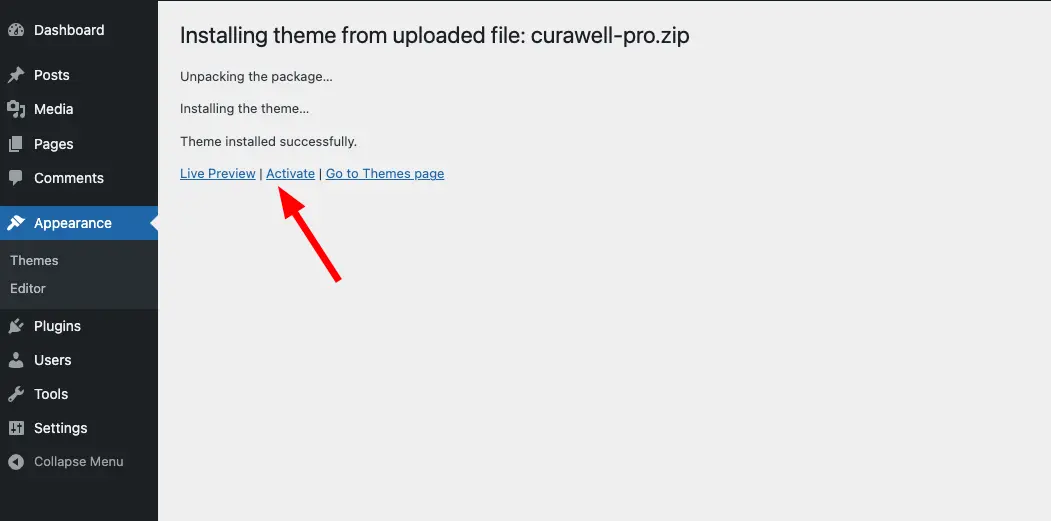 Screenshot of curawell theme installation